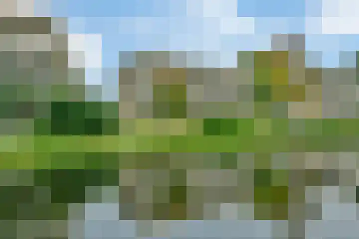 Weegbreestraat 96 Nieuw-Vennep thumbnail 29