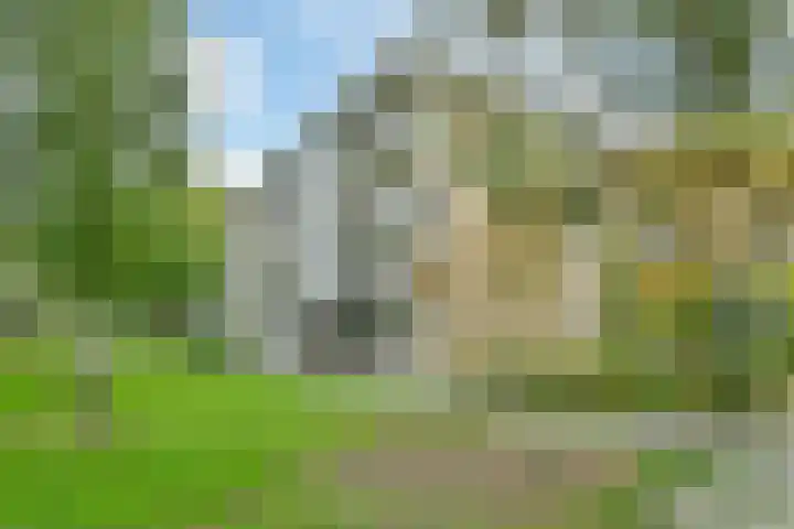 Weegbreestraat 96 Nieuw-Vennep thumbnail 5