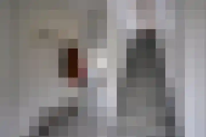 Weegbreeweg 11 Vleuten thumbnail 10