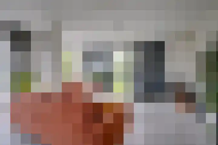 Weegbreeweg 11 Vleuten thumbnail 14