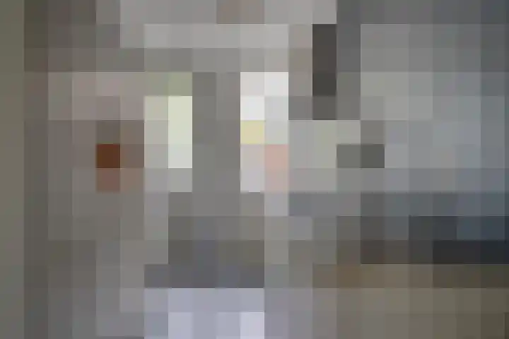 Weegbreeweg 11 Vleuten thumbnail 22