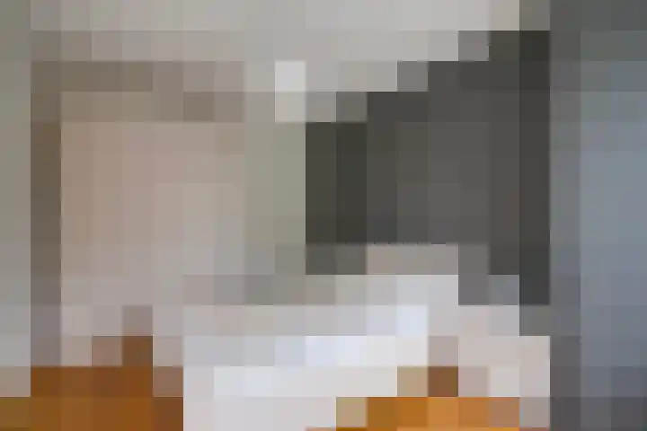 Weegbreeweg 11 Vleuten thumbnail 33