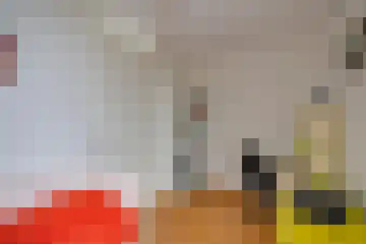 Weegbreeweg 11 Vleuten thumbnail 36