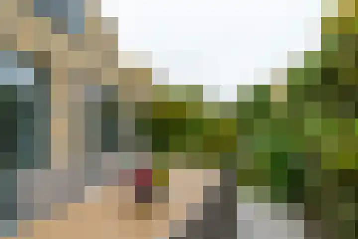 Weegbreeweg 11 Vleuten thumbnail 45