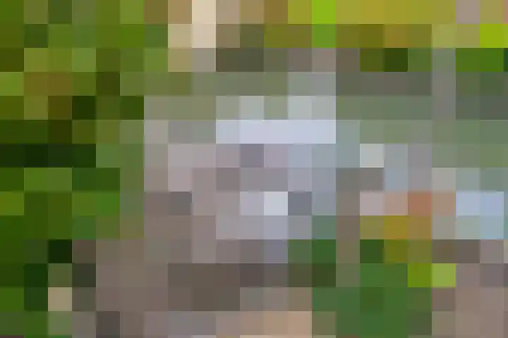 Weegbreeweg 11 Vleuten thumbnail 46