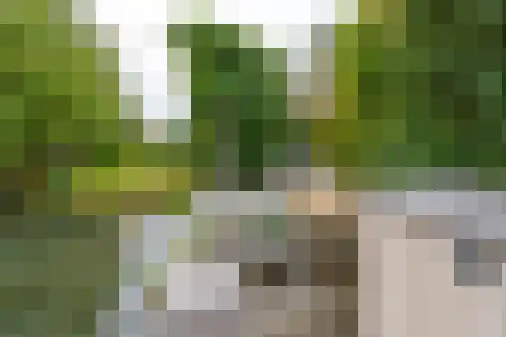 Weegbreeweg 11 Vleuten thumbnail 47