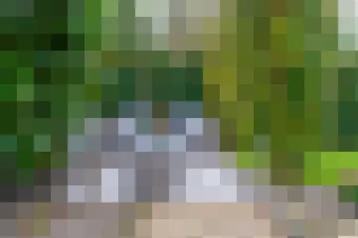 Weegbreeweg 11 Vleuten thumbnail 48