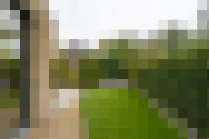 Weegbreeweg 11 Vleuten thumbnail 49