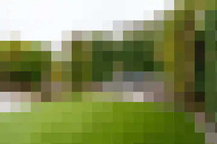 Weegbreeweg 11 Vleuten thumbnail 50