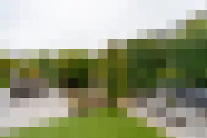Weegbreeweg 11 Vleuten thumbnail 51