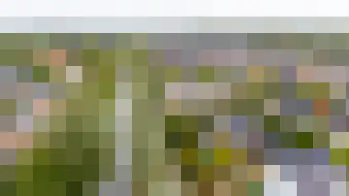 Weegbreeweg 11 Vleuten thumbnail 52