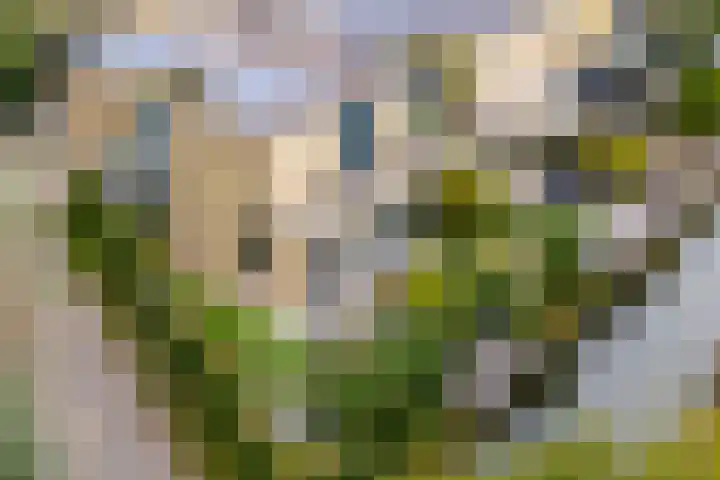 Weegbreeweg 11 Vleuten thumbnail 53