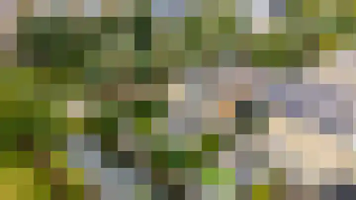 Weegbreeweg 11 Vleuten thumbnail 54