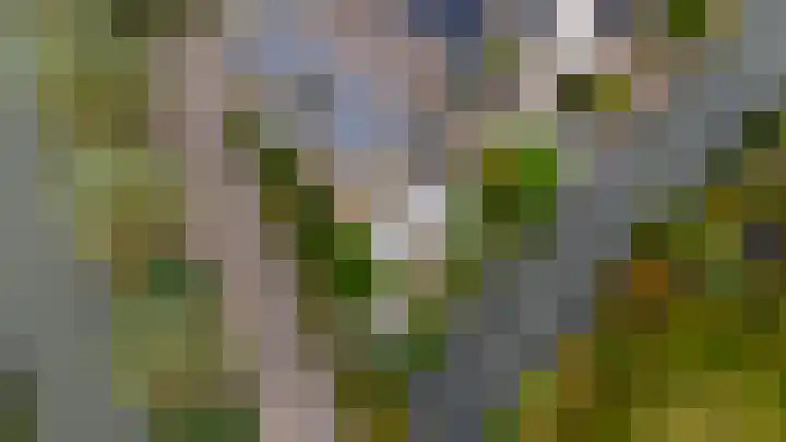 Weegbreeweg 11 Vleuten thumbnail 55