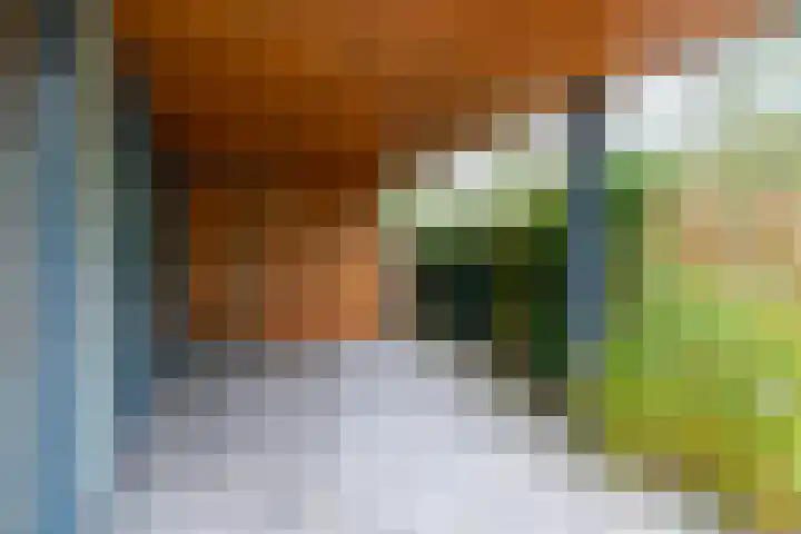 Weegbreeweg 11 Vleuten thumbnail 8