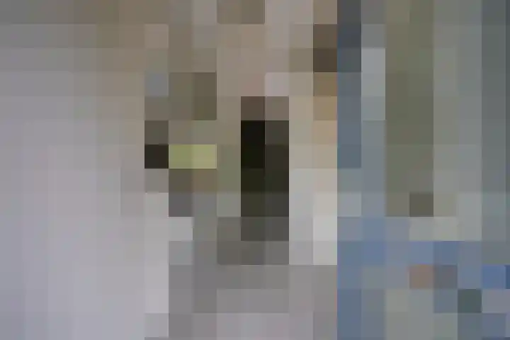 Weegbreeweg 11 Vleuten thumbnail 9