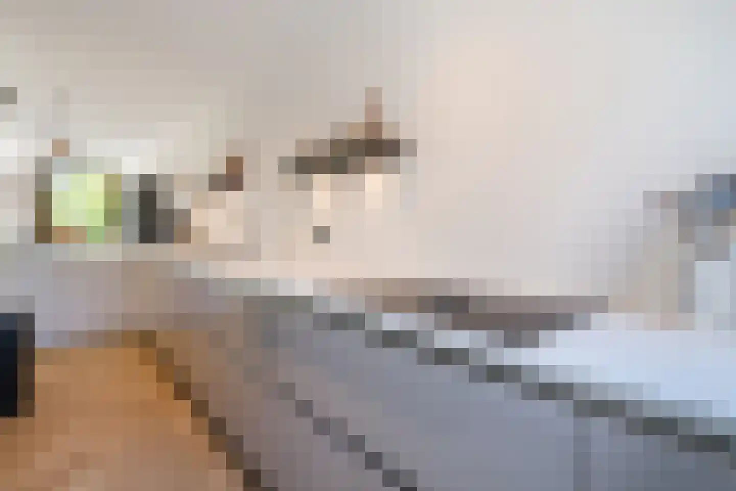 Weegbreeweg 13 Vleuten thumbnail 10