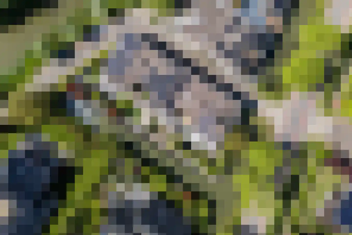 Weegbreeweg 13 Vleuten thumbnail 64