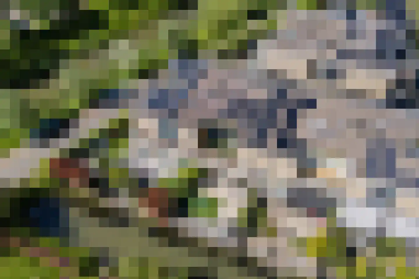 Weegbreeweg 13 Vleuten thumbnail 65
