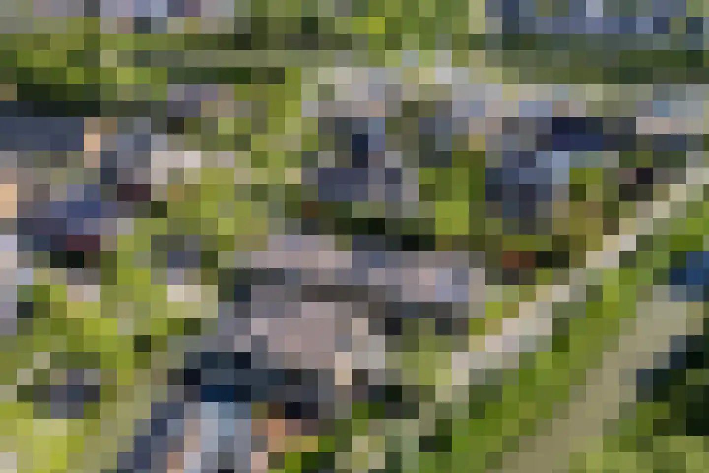 Weegbreeweg 13 Vleuten thumbnail 72