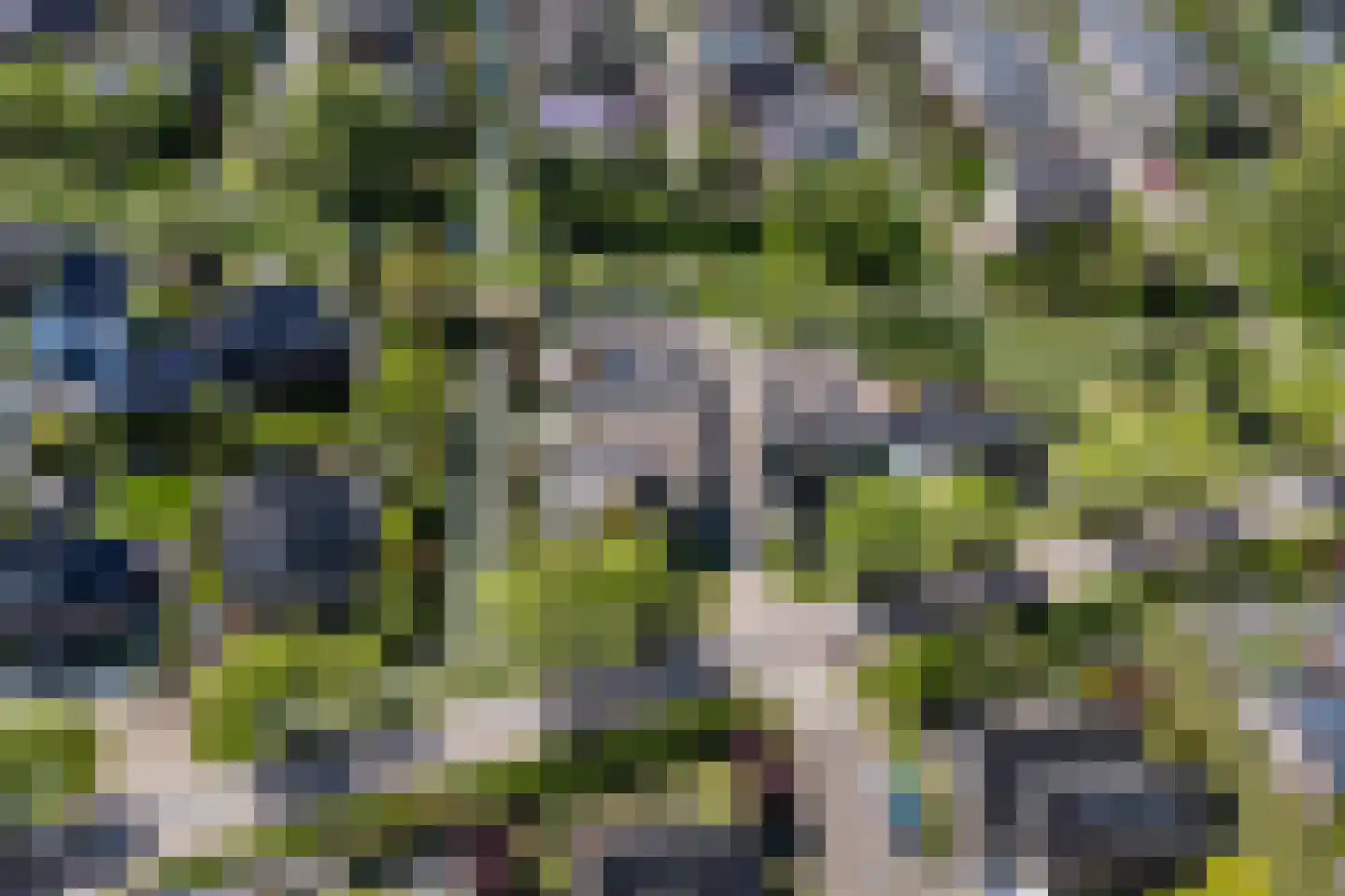 Weegbreeweg 13 Vleuten thumbnail 73