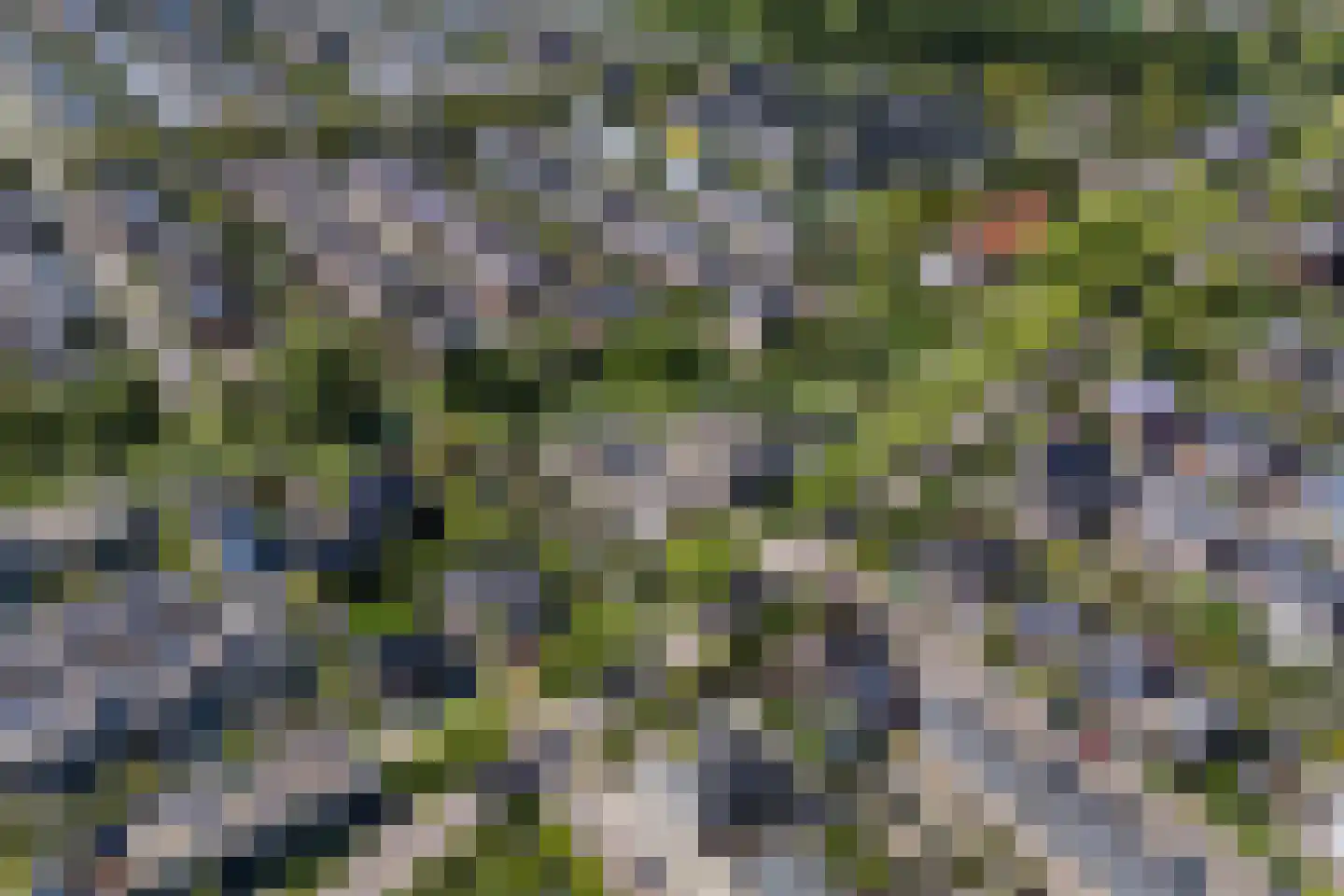 Weegbreeweg 13 Vleuten thumbnail 74