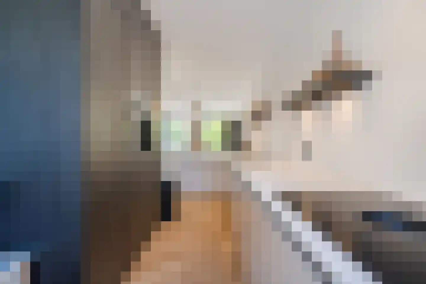 Weegbreeweg 13 Vleuten thumbnail 8