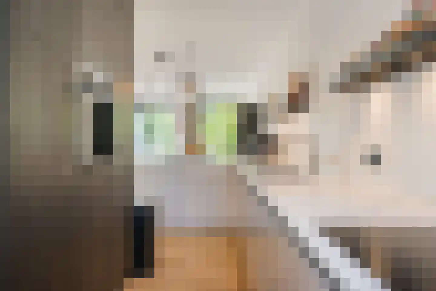 Weegbreeweg 13 Vleuten thumbnail 9