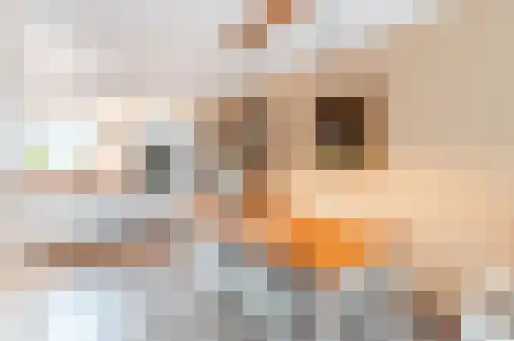 Weegje 1 Almere thumbnail 12