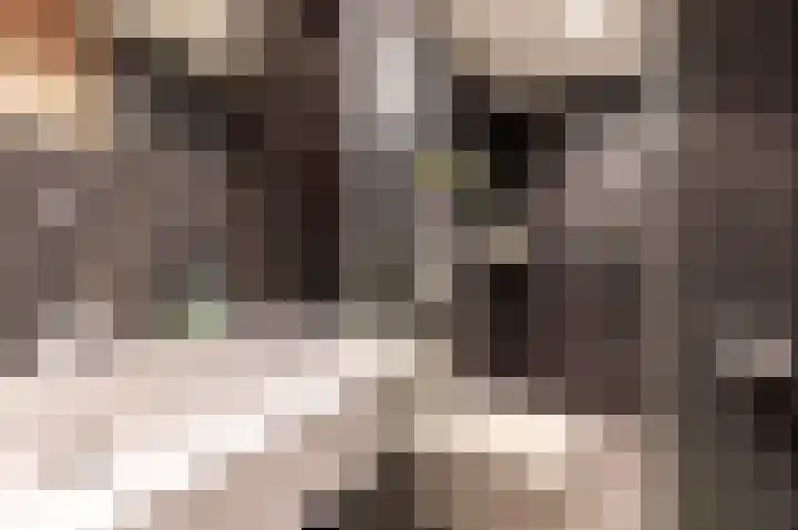 Weegje 1 Almere thumbnail 21