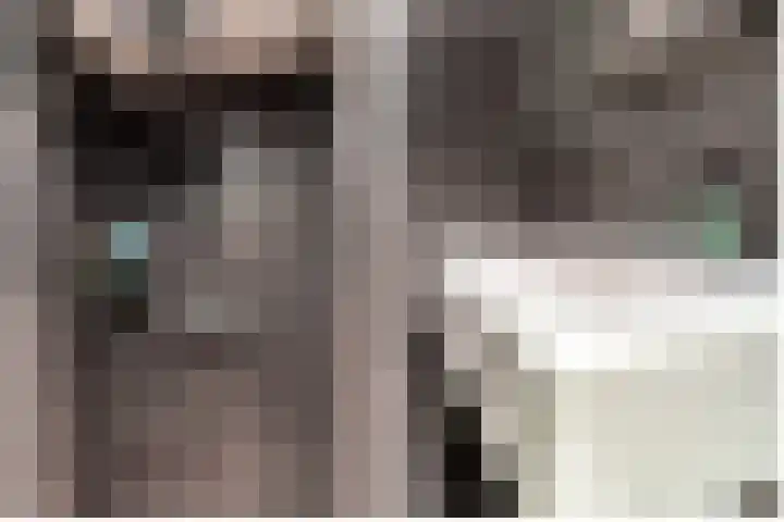 Weegje 1 Almere thumbnail 23
