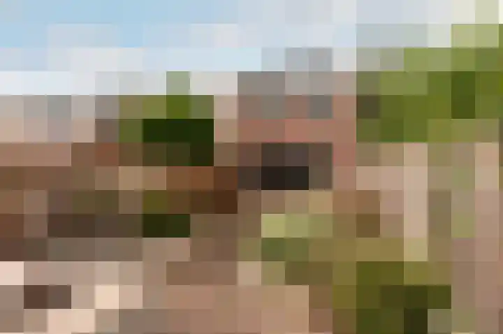 Weegje 1 Almere thumbnail 29