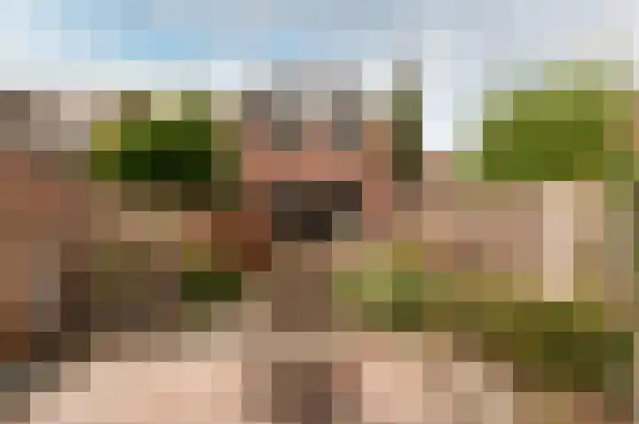 Weegje 1 Almere thumbnail 4