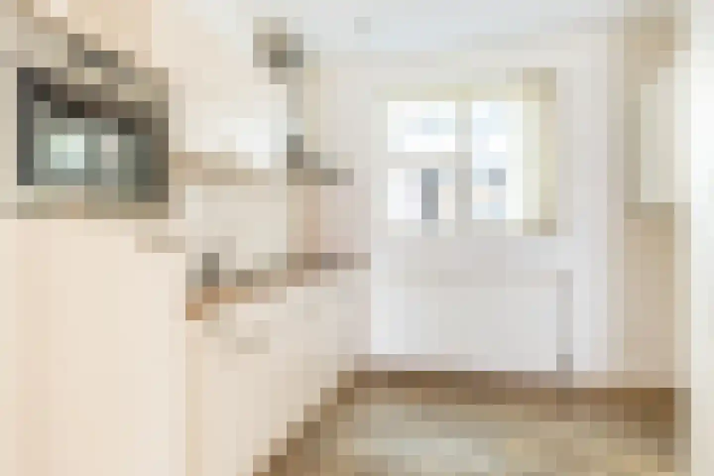 Weegje 217 's-Gravendeel thumbnail 24
