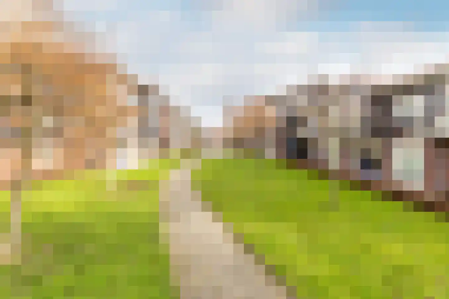 Weegje 217 's-Gravendeel thumbnail 33