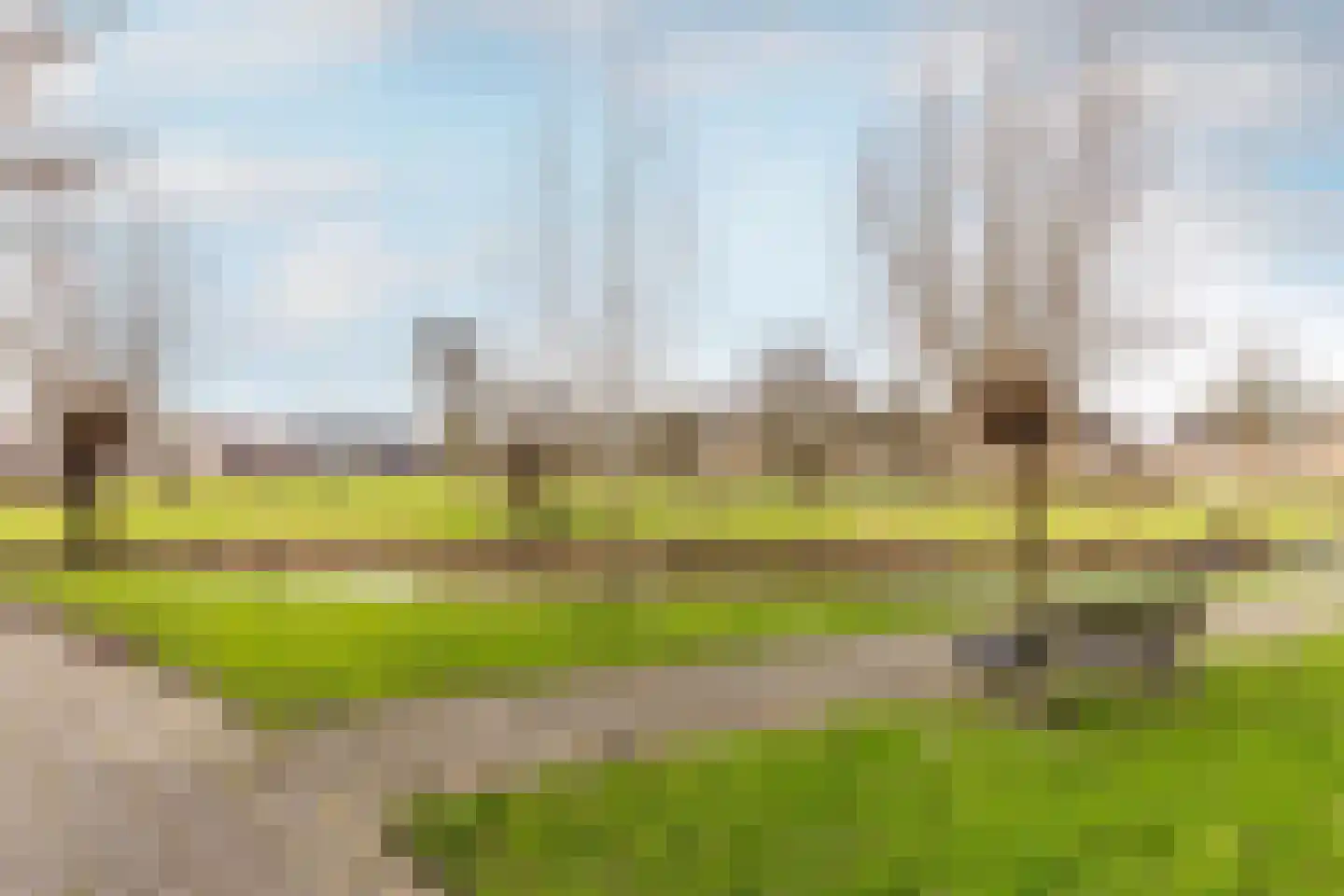 Weegje 217 's-Gravendeel thumbnail 34
