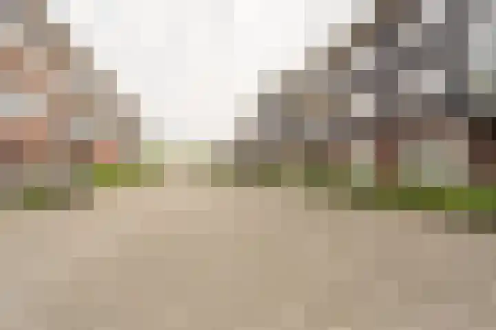 Weegje 235 's-Gravendeel thumbnail 23