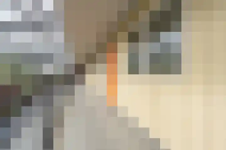 Weegje 235 's-Gravendeel thumbnail 4