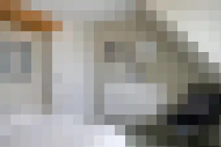 Weegpad 9 Oud-Beijerland thumbnail 18