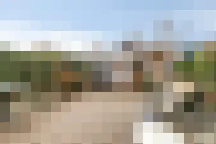 Weegpad 9 Oud-Beijerland thumbnail 31