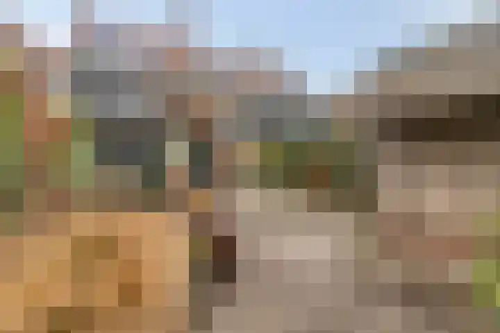 Weegpad 9 Oud-Beijerland thumbnail 32