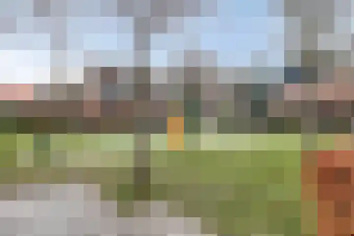 Weegpad 9 Oud-Beijerland thumbnail 33