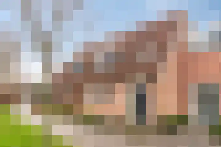 Weegpad 9 Oud-Beijerland thumbnail 4