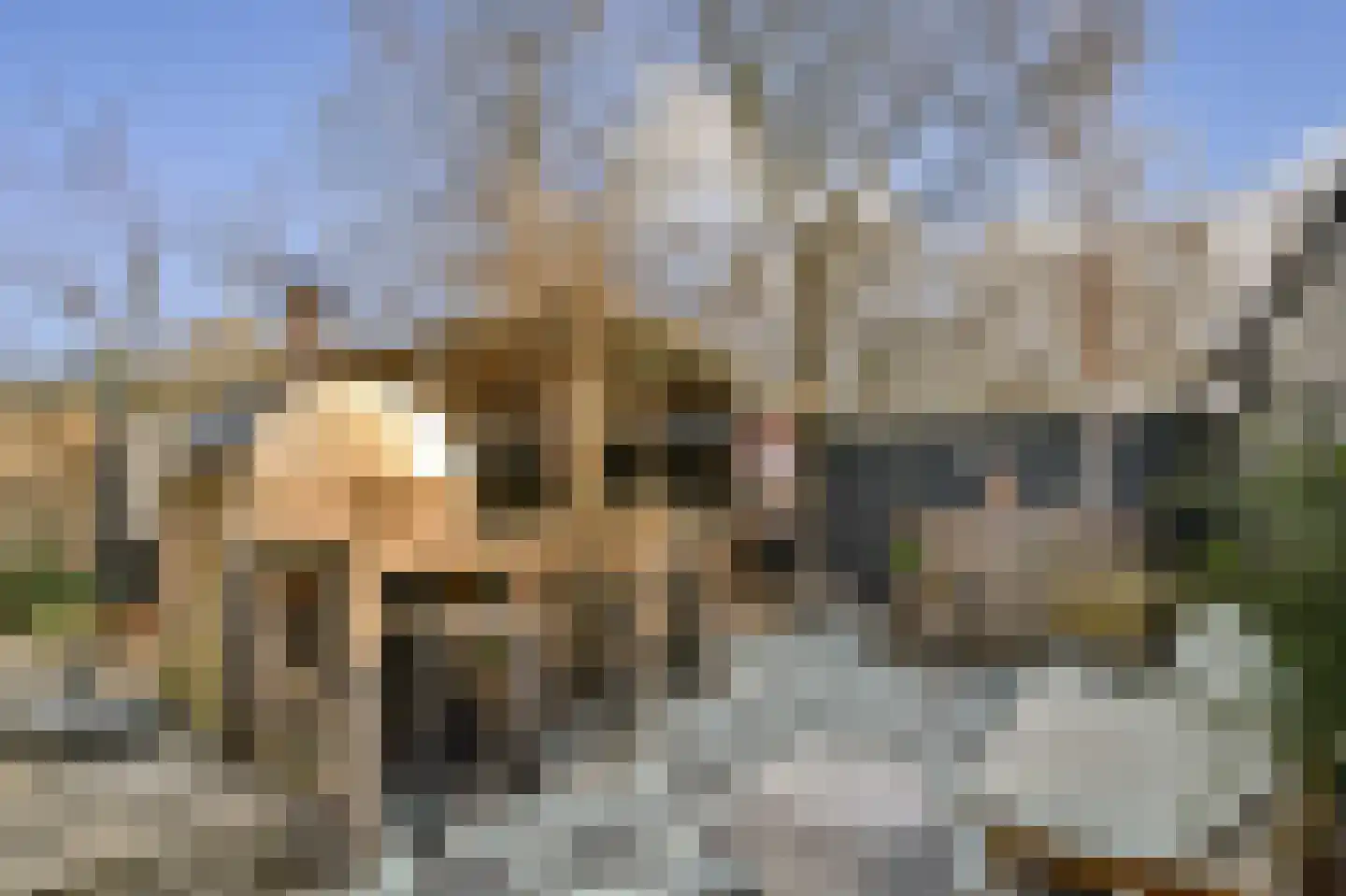 Weegschaal 107 Dordrecht thumbnail 19