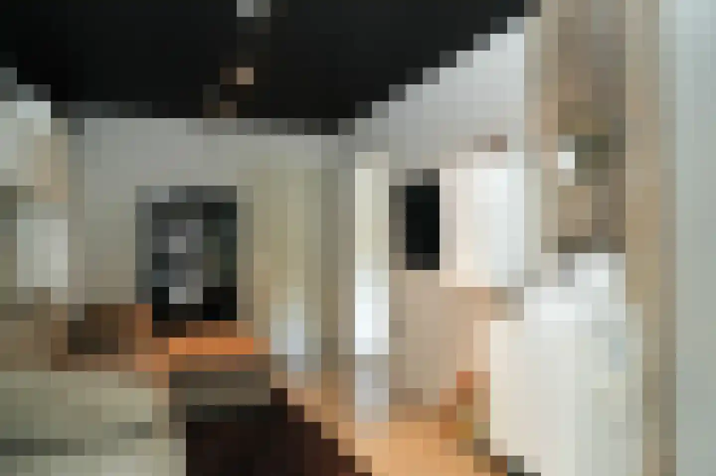 Weegschaal 11 Schijndel thumbnail 17