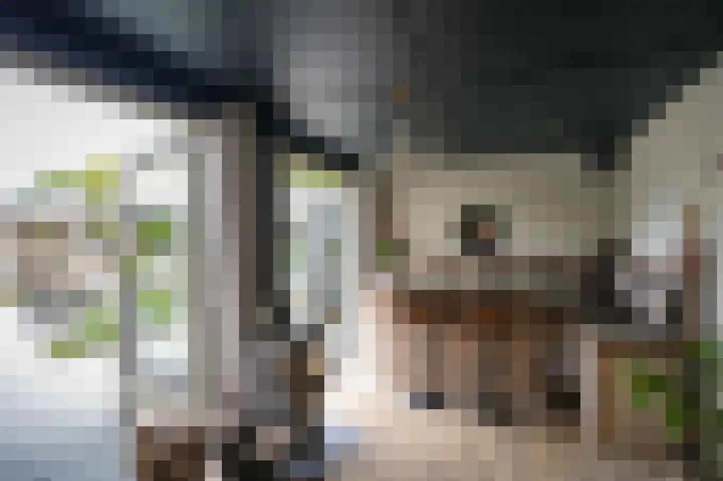 Weegschaal 11 Schijndel thumbnail 47