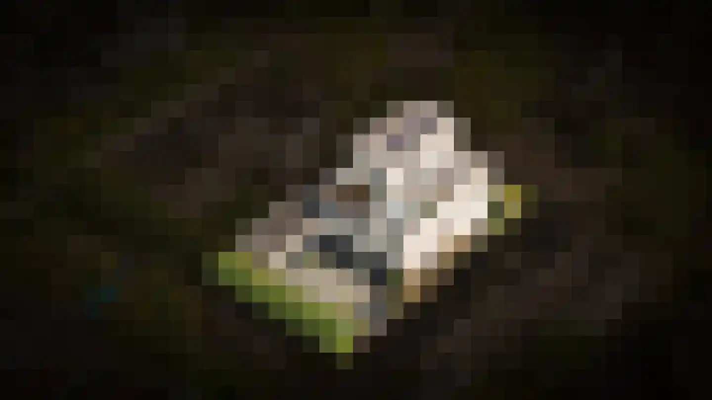 Weegschaal 11 Schijndel thumbnail 68