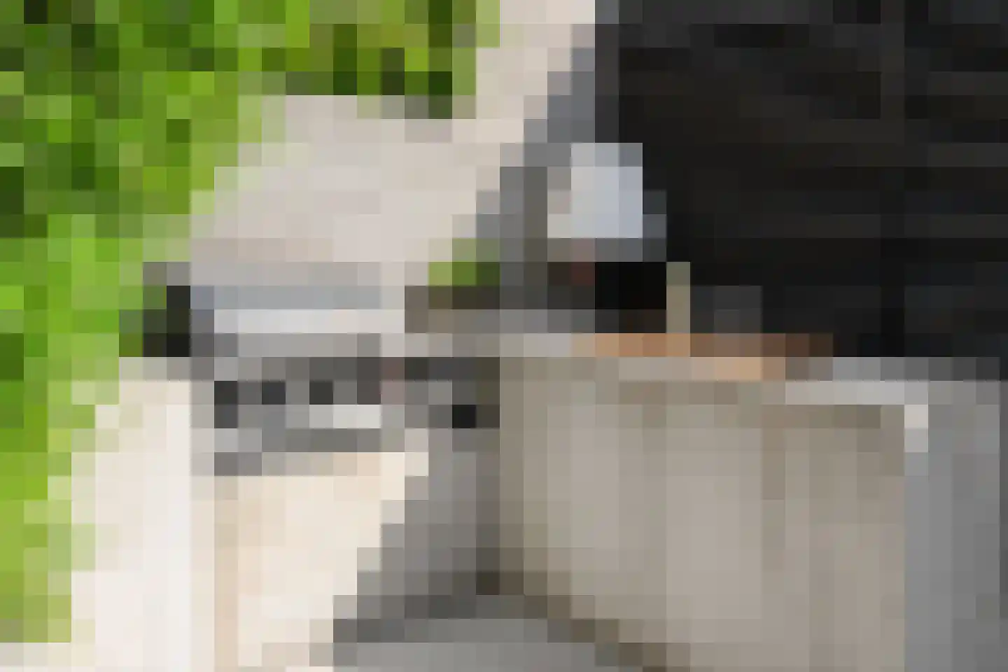 Weegschaal 114 Bilthoven thumbnail 11