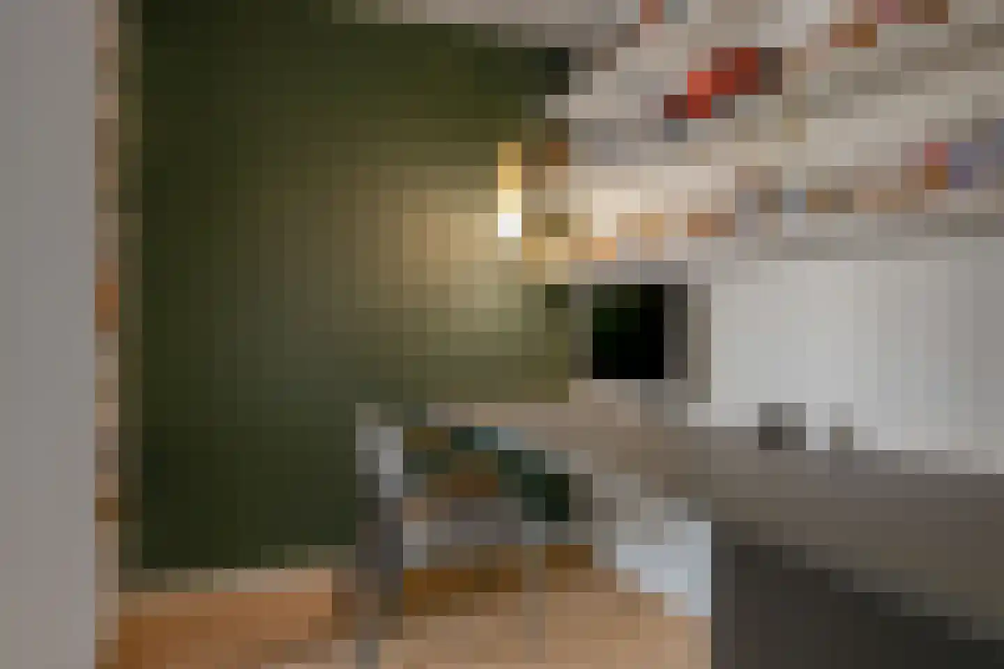 Weegschaal 114 Bilthoven thumbnail 23