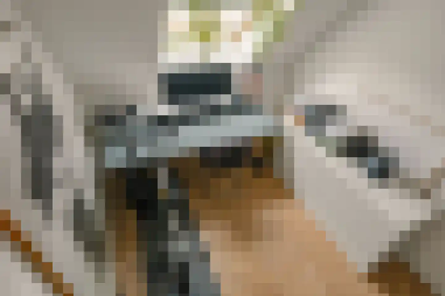 Weegschaal 114 Bilthoven thumbnail 30